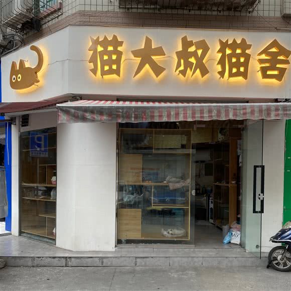 猫大叔猫舍:德阳市旌阳区狗市附近