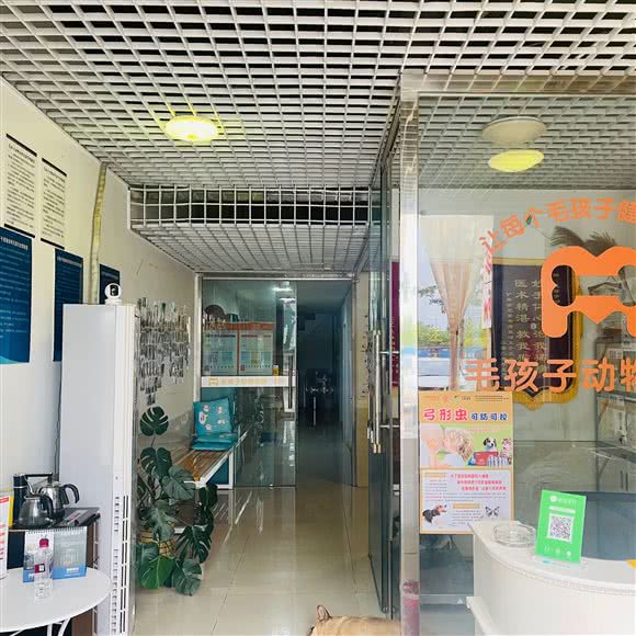 毛孩子宠物诊所:德阳市旌阳区万达广场附近