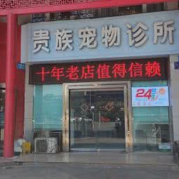贵族宠物诊所:绵阳市涪城区沿江路附近