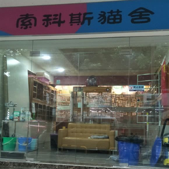 索科斯猫舍:绵阳市涪城区南河附近