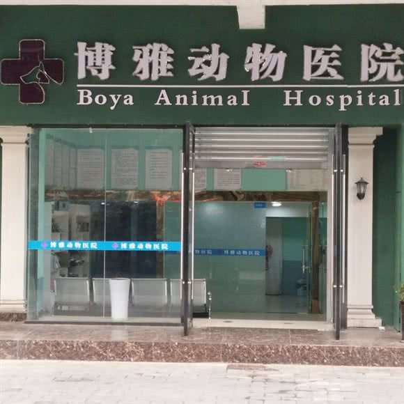 博雅动物医院:绵阳市涪城区南河附近