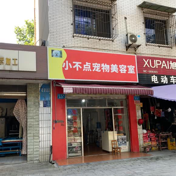 小不点宠物美容室:绵阳市涪城区御营坝附近