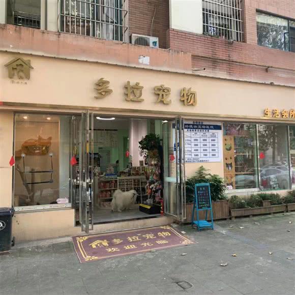 多拉宠物生活会所:绵阳市涪城区园艺山/西山公园附近