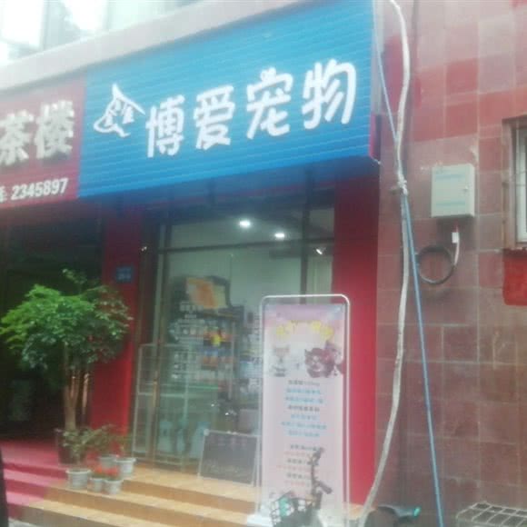 博爱宠物:绵阳市涪城区安昌路附近