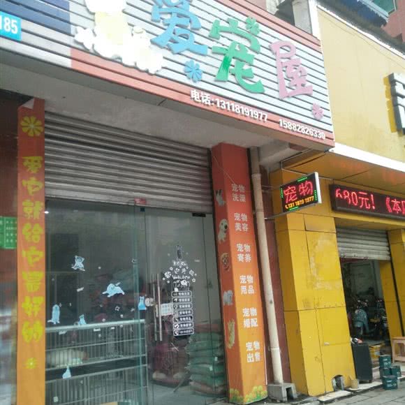 爱宠屋(双碑中街店):绵阳市涪城区双碑/双碑中街附近