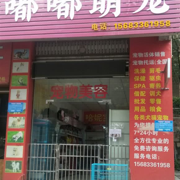 嘟嘟萌宠:绵阳市涪城区双碑/双碑中街附近
