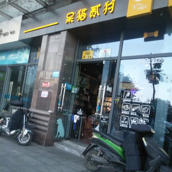 呆猫贰狗:绵阳市涪城区东方红大桥附近