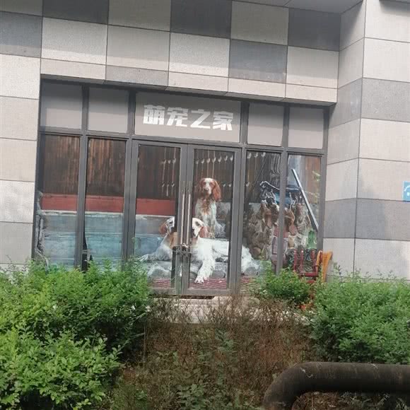 萌宠之家:绵阳市涪城区桃园路附近