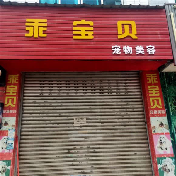 乖宝贝宠物美容:绵阳市涪城区塘汛镇附近
