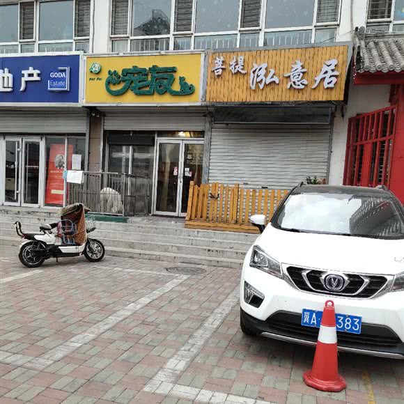 宠友(星河御城店):石家庄市新华区赵佗公园附近