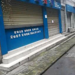 萌宠在线(顺河店):绵阳市涪城区市中心附近