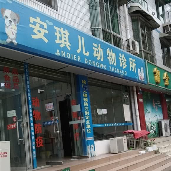安琪儿动物诊所:绵阳市游仙区沈家坝附近