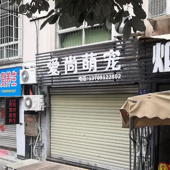 爱尚萌宠:绵阳市游仙区开元场/三医院附近