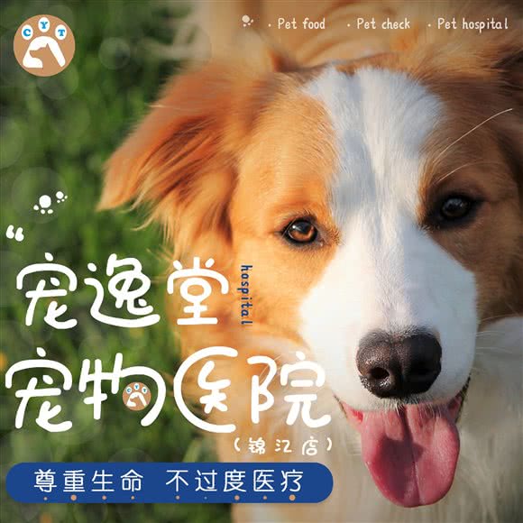 宠逸堂宠物医院(宠逸堂宠物医院广元分店):广元市利州区东坝附近
