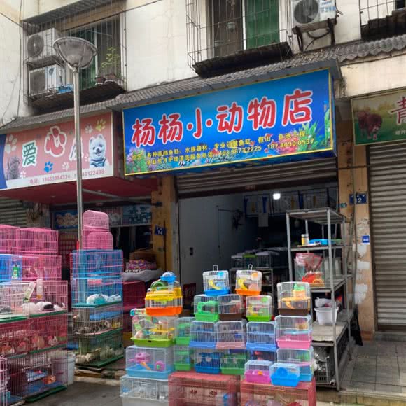 杨杨小动物店:广元市利州区老城上河街附近