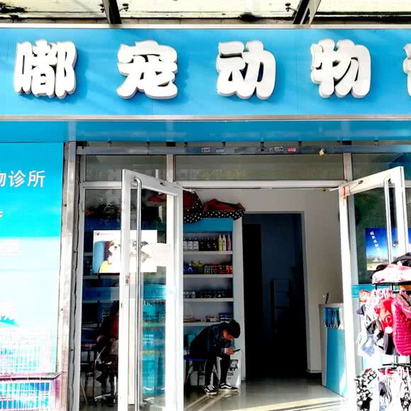 嘟宠动物诊所:石家庄市新华区赵佗公园附近