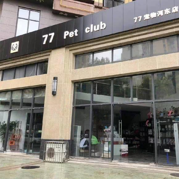 77狗狗:遂宁市船山区河东新区附近