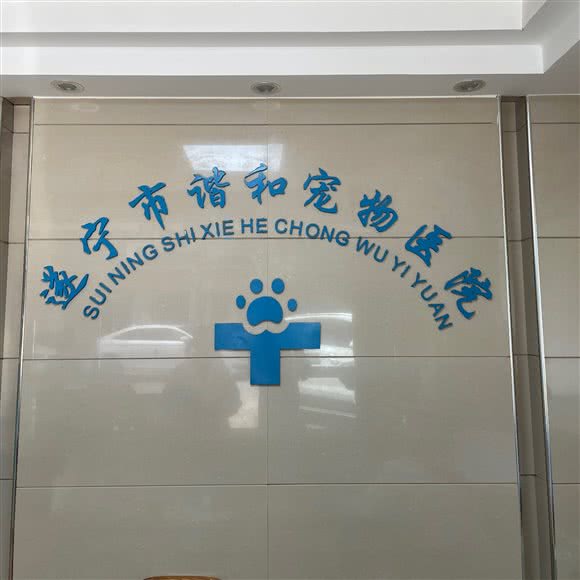 谐和宠物诊所(河东分店):遂宁市船山区河东新区附近