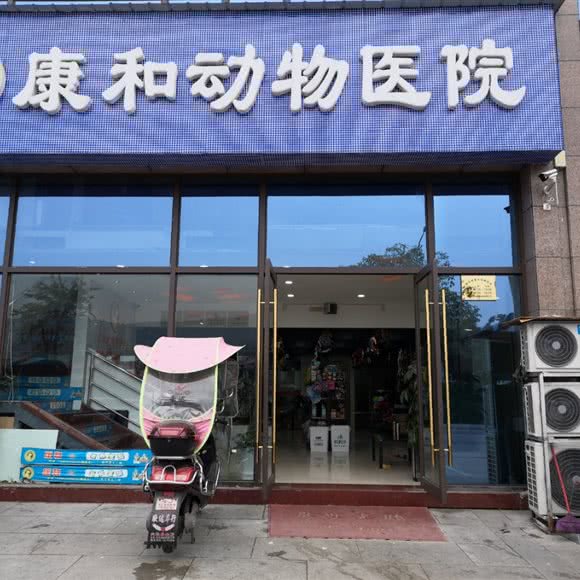 吉和动物医院:遂宁市射洪市射洪市附近