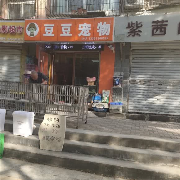 豆豆宠物(联盟路):石家庄市新华区益元百货附近