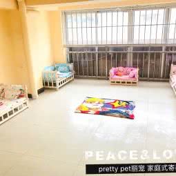丽宠宠物诊所 宠物美容:内江市市中区临江小区附近