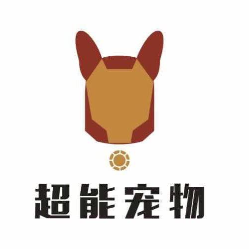 超能宠物:内江市东兴区大千路附近