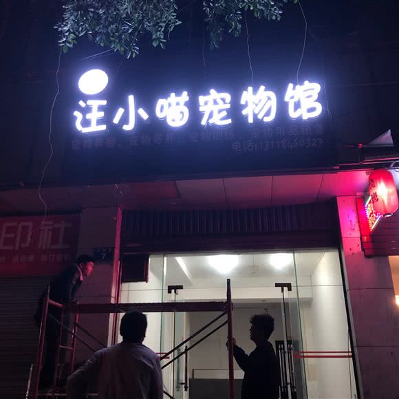 汪小喵宠物馆:内江市东兴区西林大道附近