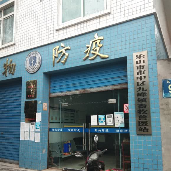 乐山市市中区九峰镇畜牧兽医站:乐山市市中区乐山大佛景区附近