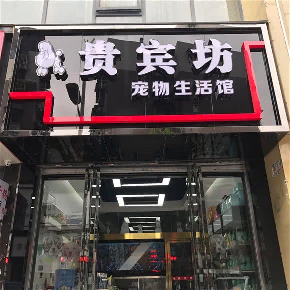 贵宾坊宠物美容中心:乐山市市中区联运站/莱佛士帝景附近
