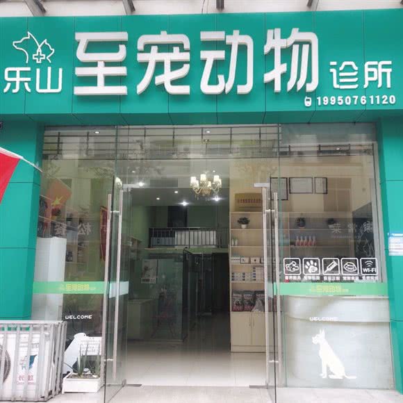 至宠动物诊所:乐山市市中区联运站/莱佛士帝景附近