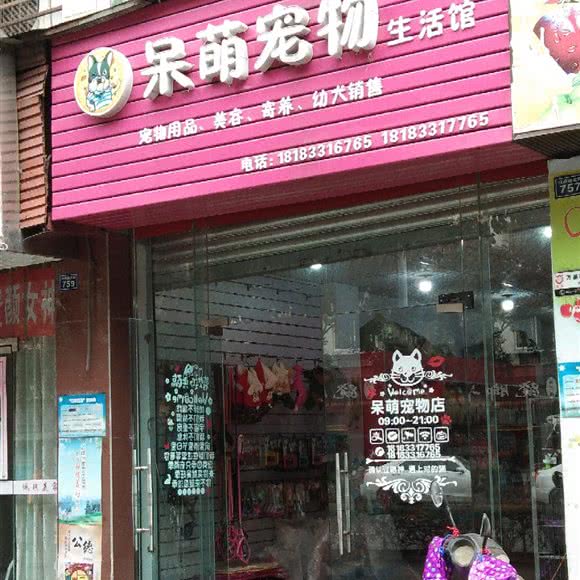 呆萌宠物生活馆:乐山市市中区通江附近