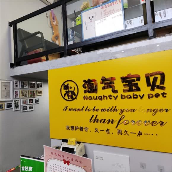 淘气宝贝:乐山市市中区肖坝附近