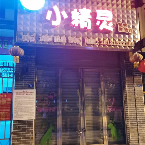 小精灵宠物生活馆:乐山市沙湾区沙湾附近