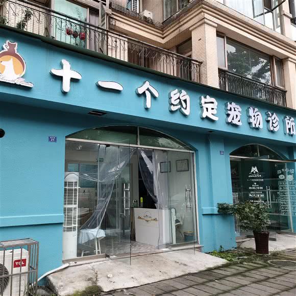 十一个约定宠物诊所:乐山市峨眉山市绥山镇附近