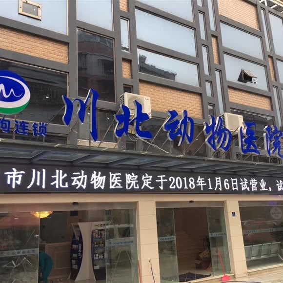 川北动物医院(南门坝总店):南充市顺庆区顺庆府附近