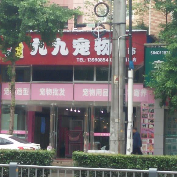 九九宠物超市(稻香路店):南充市顺庆区玉带路/富春花园附近