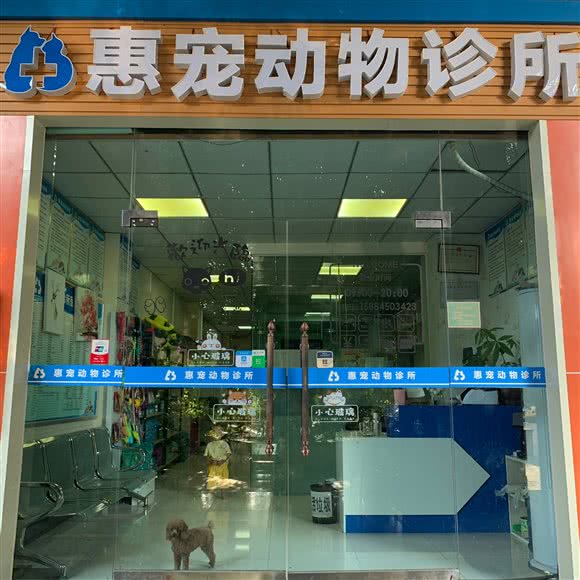 惠宠动物诊所:南充市顺庆区镇江路附近