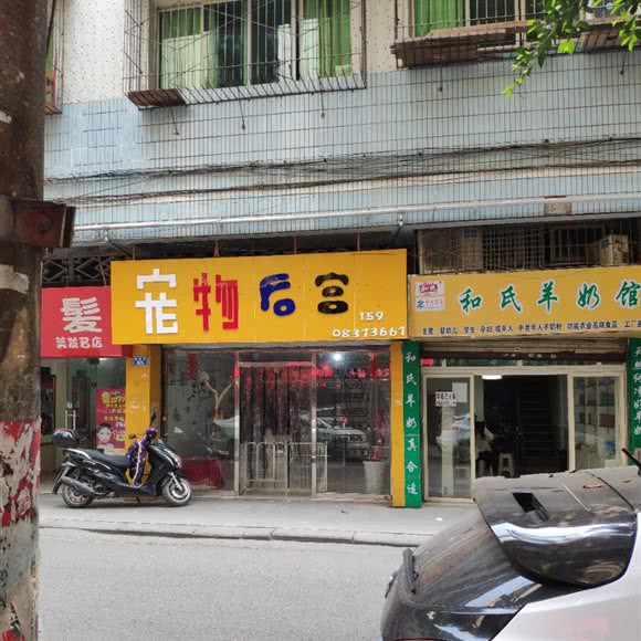 宠物后宫:南充市顺庆区金鱼岭附近