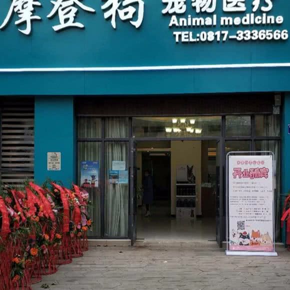 摩登狗宠物医院:南充市高坪区天来附近