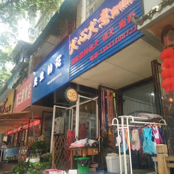 犬心犬意宠物店:南充市高坪区鹤鸣花园附近