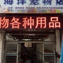 海洋宠物店:南充市高坪区王府井附近
