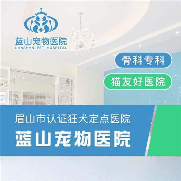蓝山宠物医院·24小时·骨科转诊中心:眉山市东坡区外滩美食街附近
