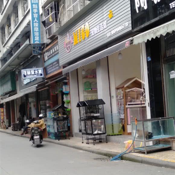 MIGO宠物生活馆:眉山市东坡区珠市街附近