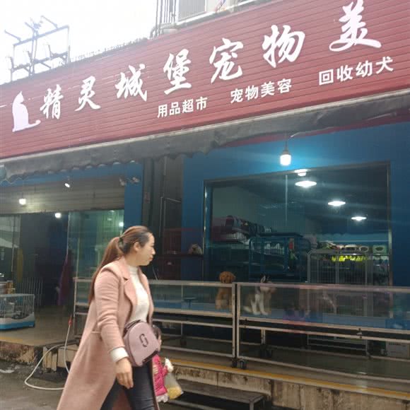 精灵城堡宠物美容会所:眉山市东坡区珠市街附近