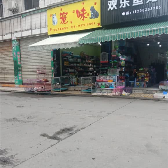 宠味:眉山市东坡区珠市街附近