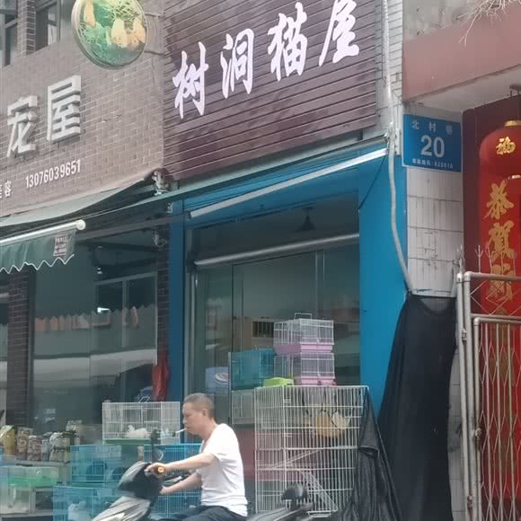 树洞猫屋:眉山市东坡区珠市街附近