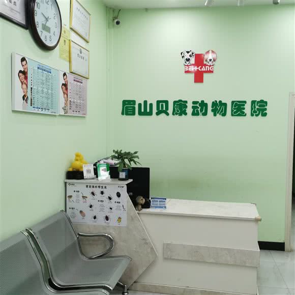 贝康动物诊疗所:眉山市东坡区珠市街附近