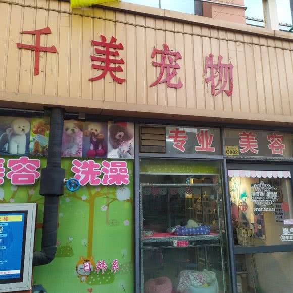 千美狗狗:石家庄市裕华区怀特商城附近