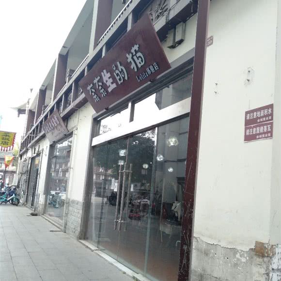 奈奈生的猫:眉山市东坡区三苏祠附近