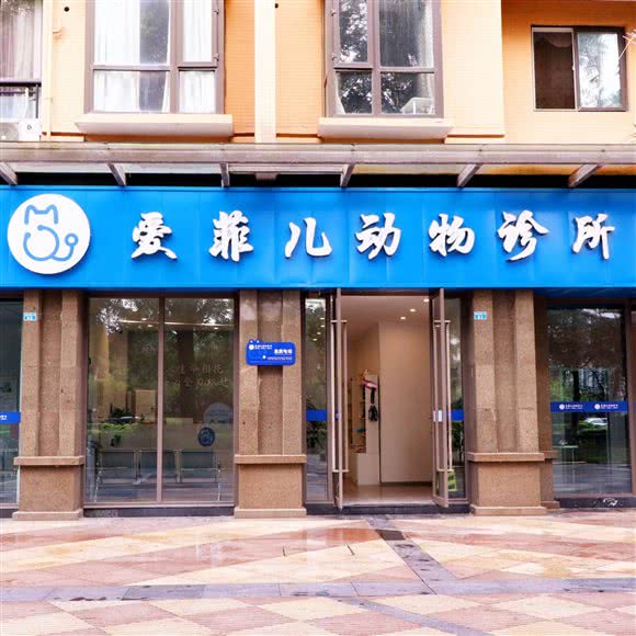 眉山爱菲儿宠物医院:眉山市东坡区市政府/体育馆附近